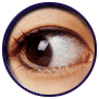 eye.gif (16371 bytes)
