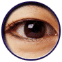 eyex.gif (4169 bytes)